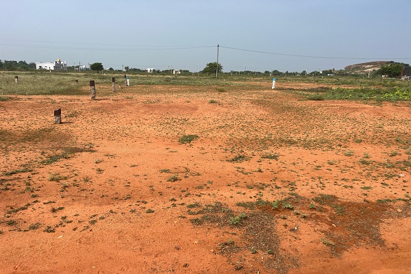 Land